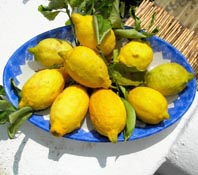 i nostri limoni